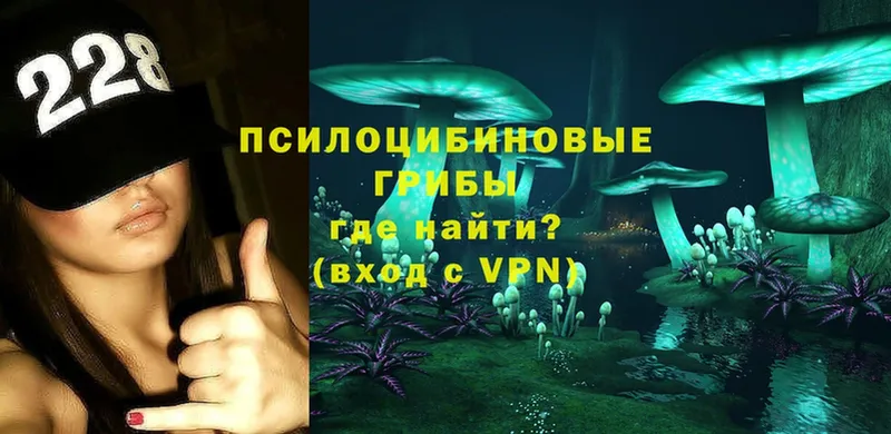 Галлюциногенные грибы GOLDEN TEACHER  hydra tor  Ермолино  что такое  